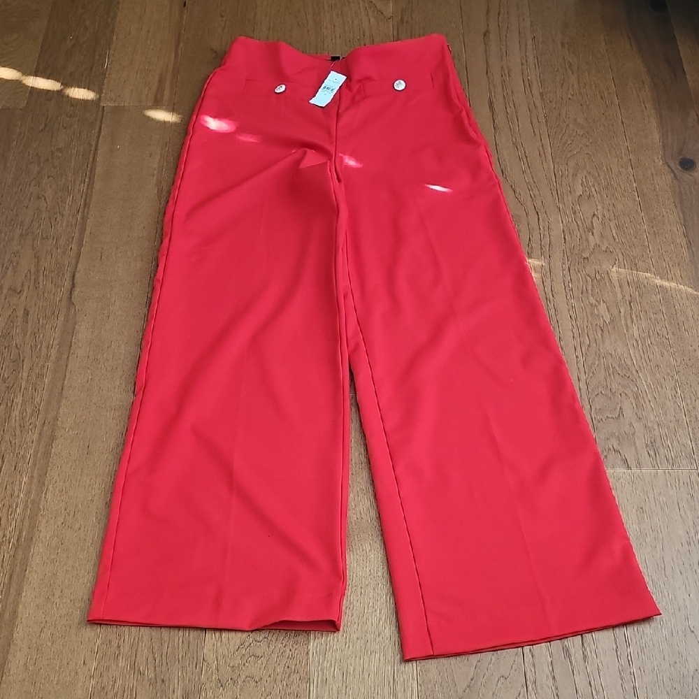 New ANN Taylor Pant
